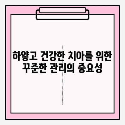 밝은 미소를 위한 치아 미백 가이드| 효과적인 방법 5가지 | 치아 미백, 미백 치약, 홈 케어, 전문 미백, 팁
