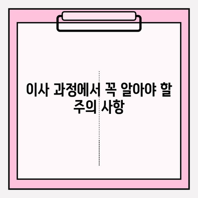 이삿짐센터 선택 고민? 꼭 확인해야 할 5가지 정보 | 이사 비용, 업체 비교, 추가 서비스, 주의 사항, 성공 이사 팁