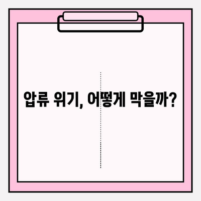 국세, 건강보험, 국민연금 미납으로 압류 위기? 벗어나는 현실적인 해결책 | 압류 해제, 연체 납부, 재산 보호