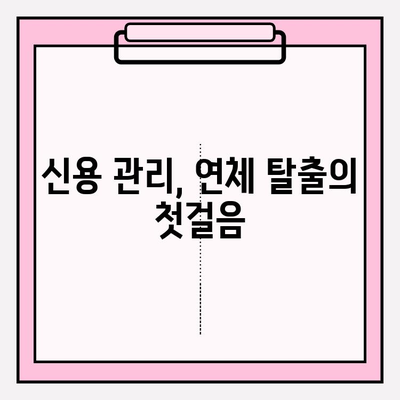 연체 탈출, 1일부터 한 달까지| 성공적인 빚 탕감 전략 | 빚 관리, 신용 관리, 재정 계획