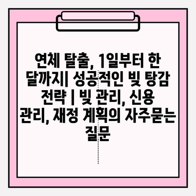 연체 탈출, 1일부터 한 달까지| 성공적인 빚 탕감 전략 | 빚 관리, 신용 관리, 재정 계획