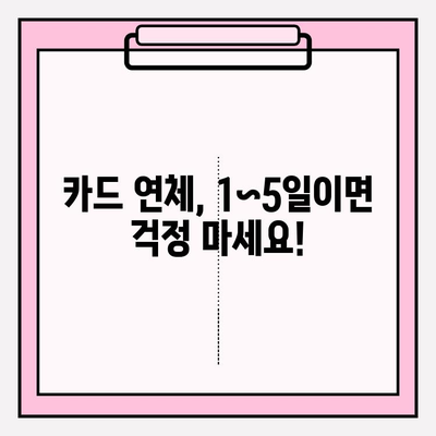 카드 연체 1일~5일, 대출 1달 연체? 걱정 없는 해결책 찾기 | 연체 해결, 신용 관리, 금융 상담, 대출 상환 팁