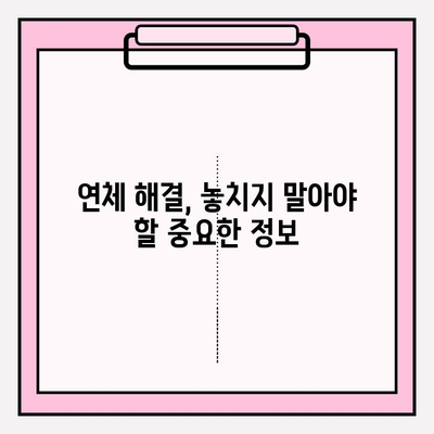 신용카드 연체정지, 대출 연체 시도 빚 갚는 방법| 5단계 전략 | 연체 해결, 금융 상황 개선, 채무 관리