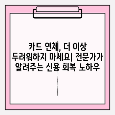 카드값 연체, 더 이상 걱정하지 마세요! 빚 탕감 전략 & 해결책 총정리 | 카드 연체, 빚 탕감, 신용 회복, 재정 관리, 법률 정보