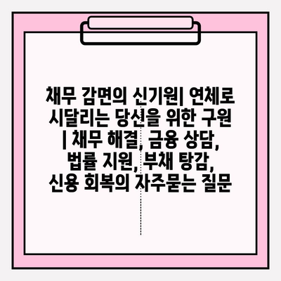채무 감면의 신기원| 연체로 시달리는 당신을 위한 구원 | 채무 해결, 금융 상담, 법률 지원, 부채 탕감, 신용 회복