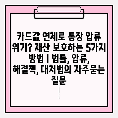 카드값 연체로 통장 압류 위기? 재산 보호하는 5가지 방법 | 법률, 압류, 해결책, 대처법