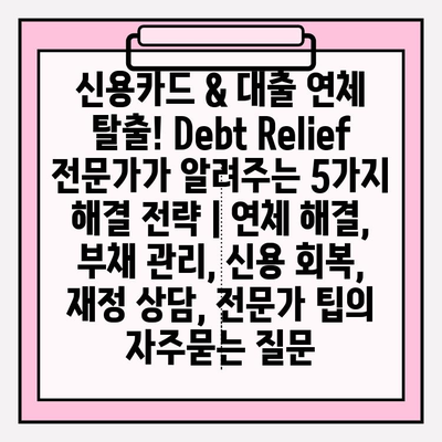 신용카드 & 대출 연체 탈출! Debt Relief 전문가가 알려주는 5가지 해결 전략 | 연체 해결, 부채 관리, 신용 회복, 재정 상담, 전문가 팁