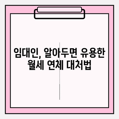 임대인이 알아야 할 월세 연체 & 미납 대처 전략 | 임대료, 미납, 법률, 해결 방안