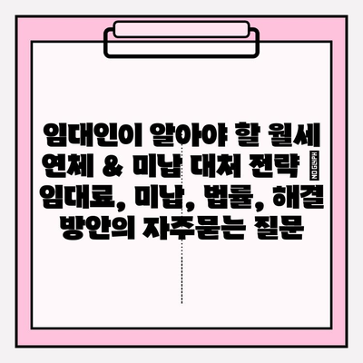 임대인이 알아야 할 월세 연체 & 미납 대처 전략 | 임대료, 미납, 법률, 해결 방안