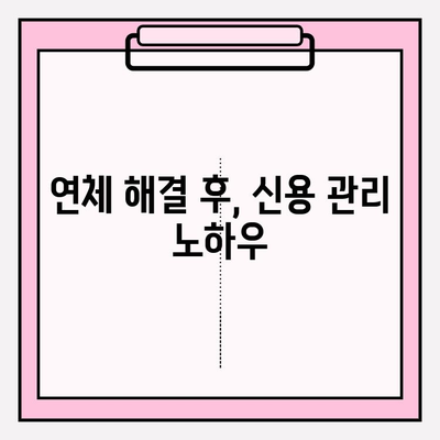 카카오 비상금 대출 연체, 이렇게 해결하세요! | 신용 등급 보호, 연체 해결 가이드