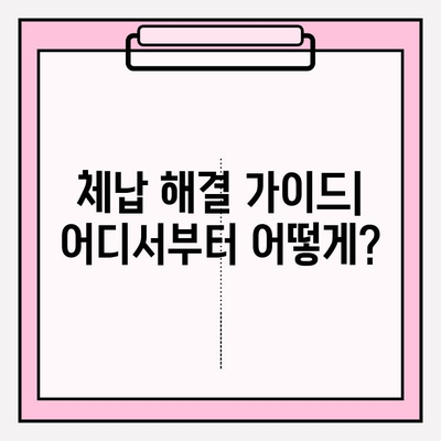 국세, 건강보험, 연금 체납 걱정 끝! 해결 방법 총정리 | 체납, 미납, 연체, 해결, 팁, 가이드