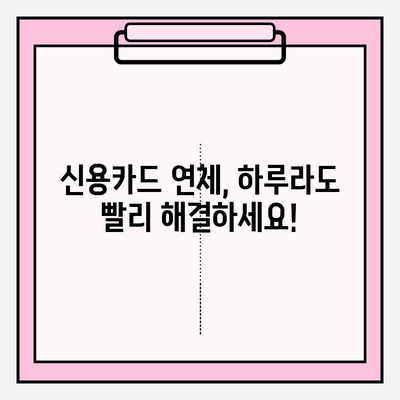 신용카드 연체 1일~5일, 대출 한 달 연체 극복 가이드| 해결책과 전문가 조언 | 연체, 신용 관리, 대출, 금융 상담