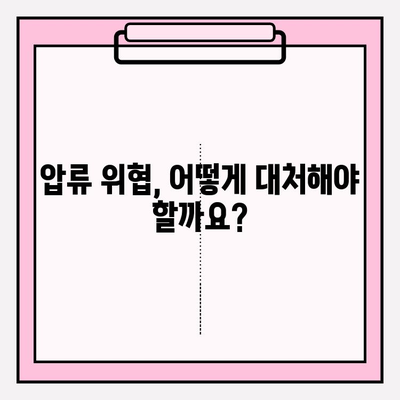 카드 연체로 인한 압류, 재산을 지키는 5가지 방법 | 카드 연체, 압류, 재산 보호, 법률 상담, 해결 방안