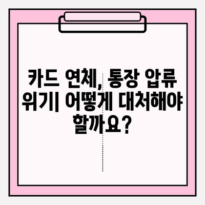 카드값 연체, 통장 압류 위기? 재산 압류 피하는 방법 | 카드 연체, 압류, 법률 정보, 해결 방안