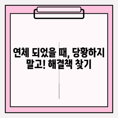 카카오뱅크 비상금대출 연체, 무엇이 두려운가요? | 연체 후폭풍, 대처법, 해결책