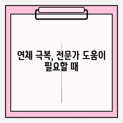 카카오뱅크 비상금대출 연체, 무엇이 두려운가요? | 연체 후폭풍, 대처법, 해결책