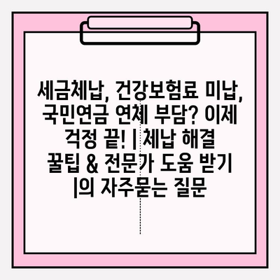 세금체납, 건강보험료 미납, 국민연금 연체 부담? 이제 걱정 끝! | 체납 해결 꿀팁 & 전문가 도움 받기 |