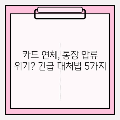 카드 연체로 통장 압류 위기? 재산 지키는 5가지 방법 | 법률, 채무, 해결 방안