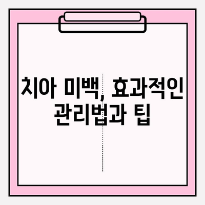 예술적 미소를 위한 치아 미백 전문가 가이드 | 치아 미백, 미백 치료, 전문가 추천, 팁