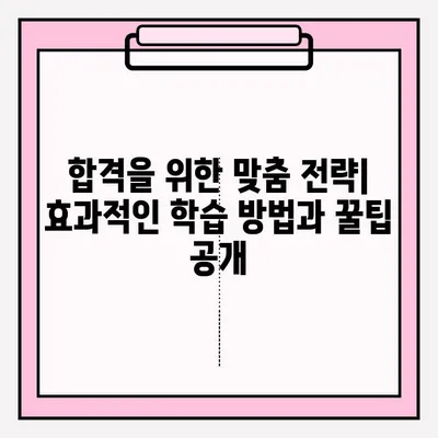 손해사정사 시험 접수부터 합격까지| 완벽 가이드 | 시험 정보, 준비 전략, 장소 안내