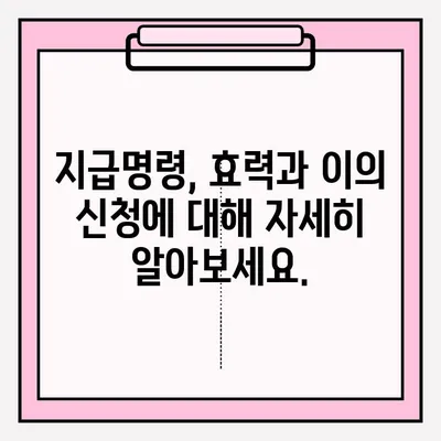 물품대금 지급명령,  접수부터 회수까지 완벽 가이드 | 채권 회수, 법원, 소송