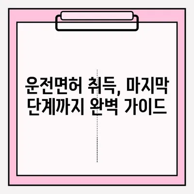 운전면허 필기시험 접수부터 면허 취득까지 완벽 가이드 |  서류, 절차, 합격 팁
