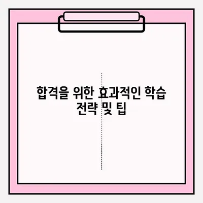 컴퓨터활용능력 2급 필기 시험 완벽 공략| 일정 & 합격 전략 | 2023년 최신 정보, 핵심 요약, 실전 문제 풀이
