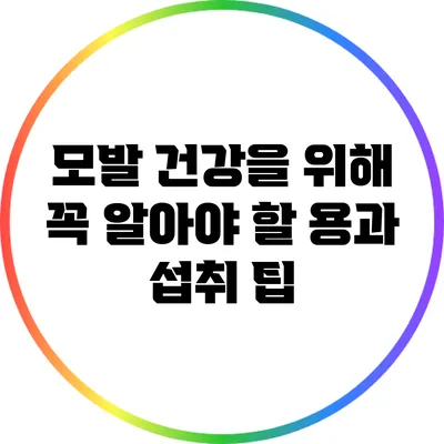 모발 건강을 위해 꼭 알아야 할 용과 섭취 팁