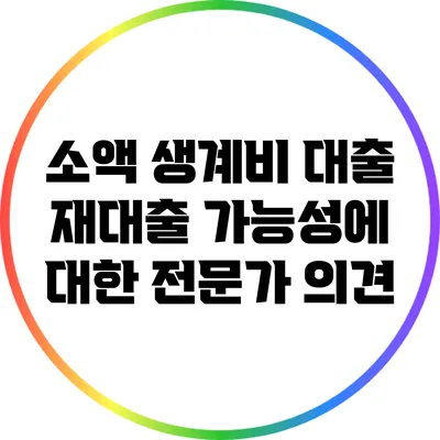 소액 생계비 대출 재대출 가능성에 대한 전문가 의견