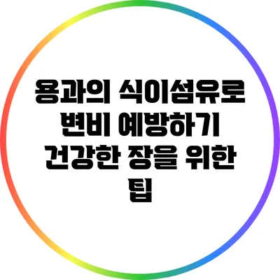 용과의 식이섬유로 변비 예방하기: 건강한 장을 위한 팁