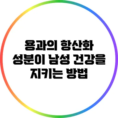 용과의 항산화 성분이 남성 건강을 지키는 방법