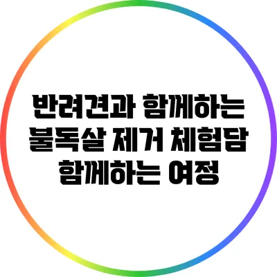 반려견과 함께하는 불독살 제거 체험담: 함께하는 여정