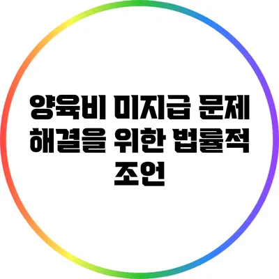 양육비 미지급 문제 해결을 위한 법률적 조언