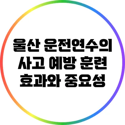 울산 운전연수의 사고 예방 훈련 효과와 중요성