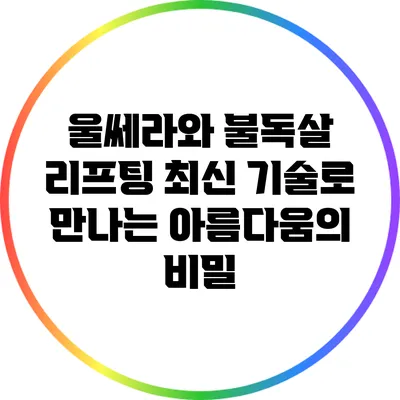 울쎄라와 불독살 리프팅: 최신 기술로 만나는 아름다움의 비밀