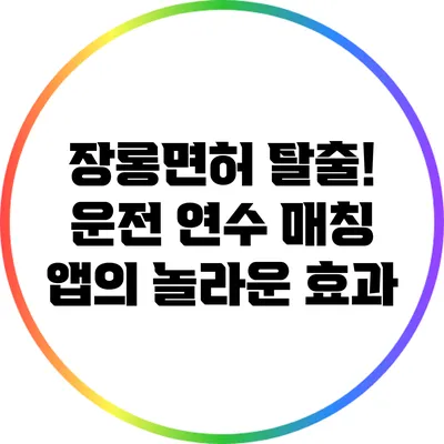 장롱면허 탈출! 운전 연수 매칭 앱의 놀라운 효과
