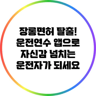 장롱면허 탈출! 운전연수 앱으로 자신감 넘치는 운전자가 되세요