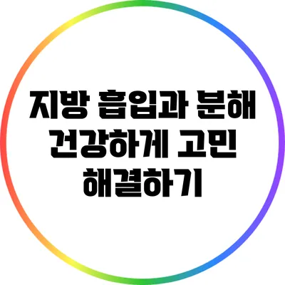 지방 흡입과 분해: 건강하게 고민 해결하기