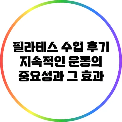 필라테스 수업 후기: 지속적인 운동의 중요성과 그 효과