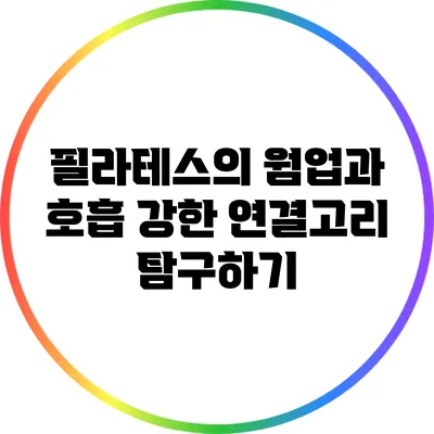 필라테스의 웜업과 호흡: 강한 연결고리 탐구하기