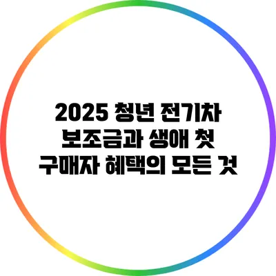 2025 청년 전기차 보조금과 생애 첫 구매자 혜택의 모든 것