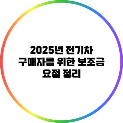 2025년 전기차 구매자를 위한 보조금 요점 정리