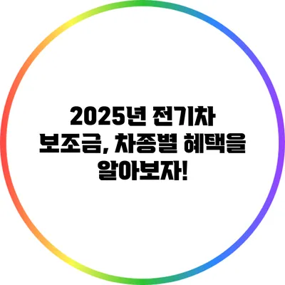 2025년 전기차 보조금, 차종별 혜택을 알아보자!