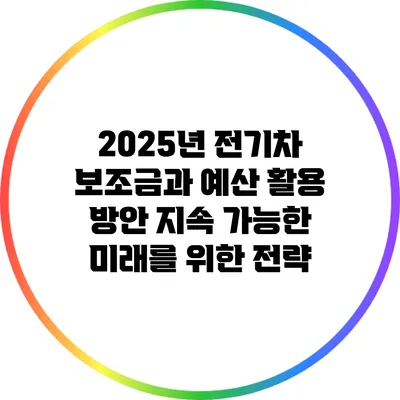 2025년 전기차 보조금과 예산 활용 방안: 지속 가능한 미래를 위한 전략