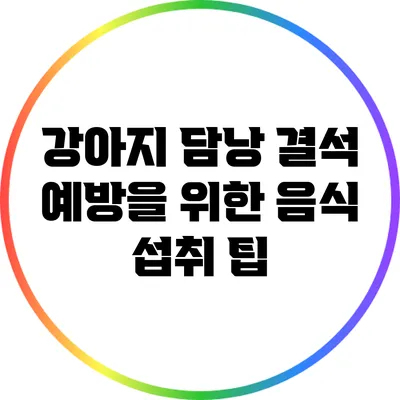 강아지 담낭 결석 예방을 위한 음식 섭취 팁