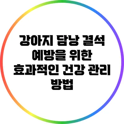 강아지 담낭 결석 예방을 위한 효과적인 건강 관리 방법