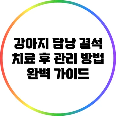 강아지 담낭 결석 치료 후 관리 방법 완벽 가이드