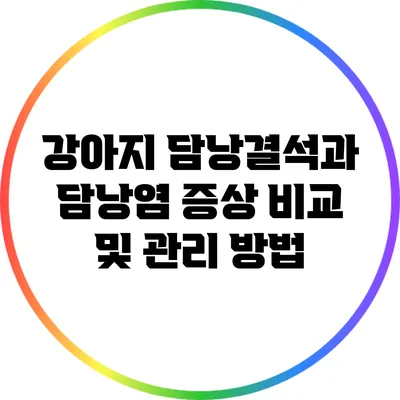 강아지 담낭결석과 담낭염 증상 비교 및 관리 방법