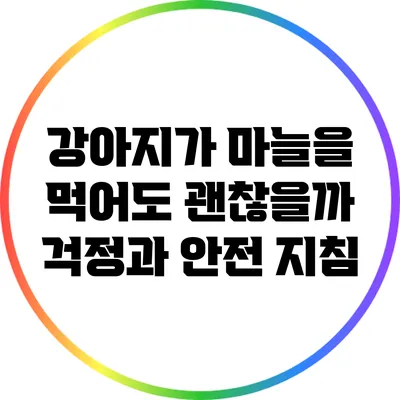 강아지가 마늘을 먹어도 괜찮을까? 걱정과 안전 지침