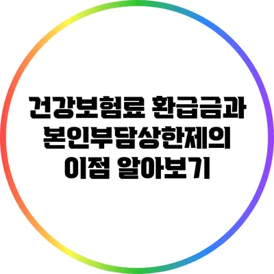 건강보험료 환급금과 본인부담상한제의 이점 알아보기